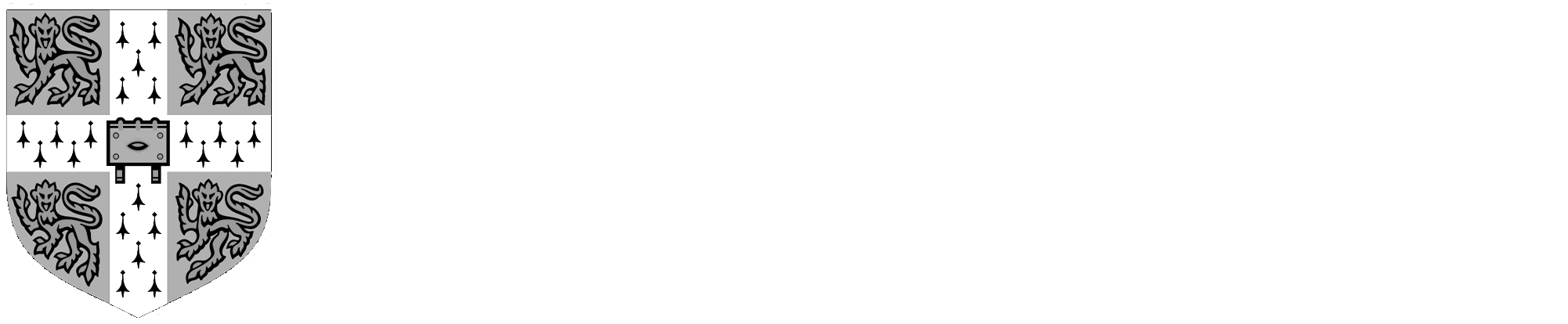 Gráfico 4 (In Live)